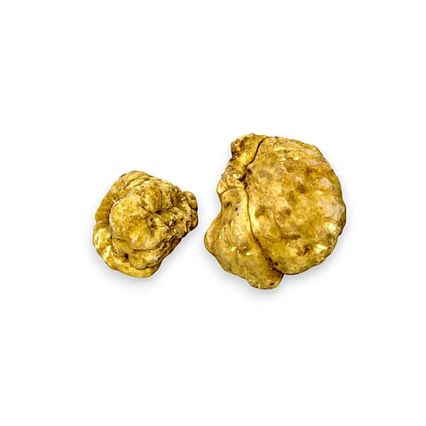 white truffle tuber magnatum pico b-grade