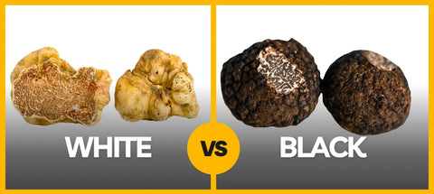 White and black truffles comparison highlighting key differences in appearance and texture
