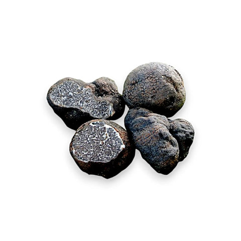 Garlic Truffle Tuber Macrosporum collection