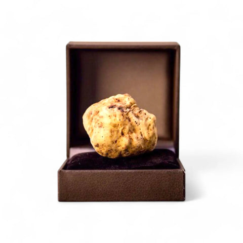 Special Truffle Products collection