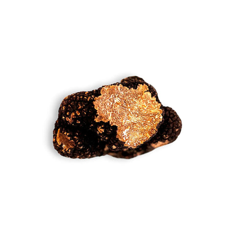Exquisite Burgundy Truffle with Gold Leaf Topping from the Tuber Uncinatum collection