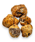 Pile of rough tan Tuber Borchii spring truffles for fresh spring truffle dishes