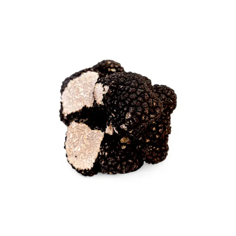 fresh-summer-truffle-tuber-aestivum-c-gr
