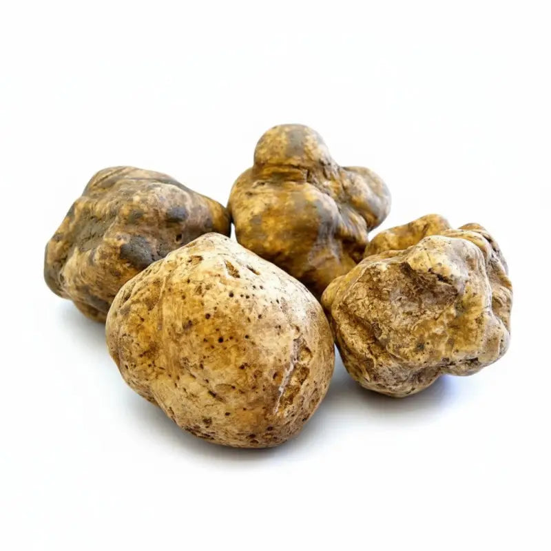 fresh-white-truffle-tuber-magnatum-small