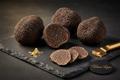 Fresh Black Truffle - Tuber Melanosporum (EXTRA-grade) - Terra Ross