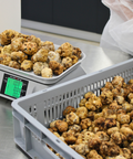 frozen tuber borchii selection process